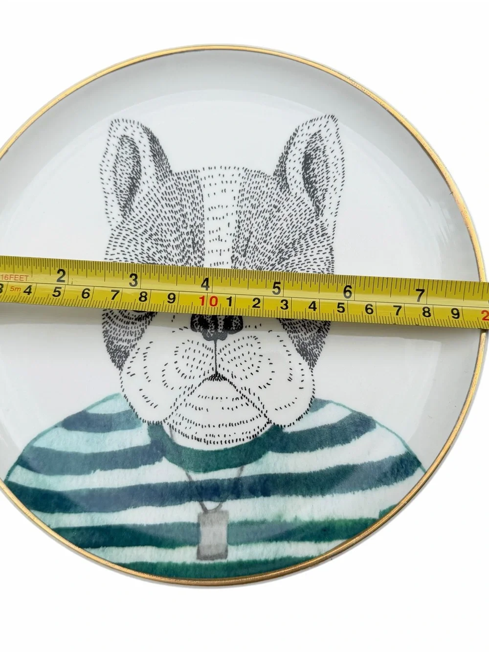Pier 1 Imports Animal Portrait Plates Set of 3 Dog Owl Giraffe Gold Rim 8”
